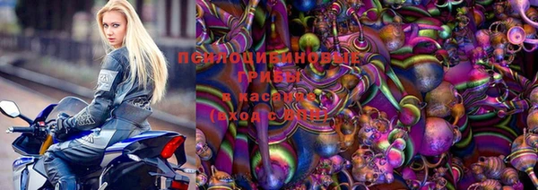 соль курить ск Белокуриха