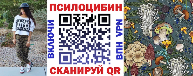 Галлюциногенные грибы GOLDEN TEACHER  наркошоп  Бугульма 