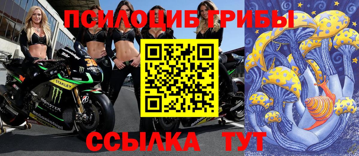 Псилоцибиновые грибы ЛСД Бугульма